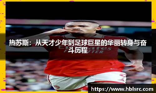 OB网站